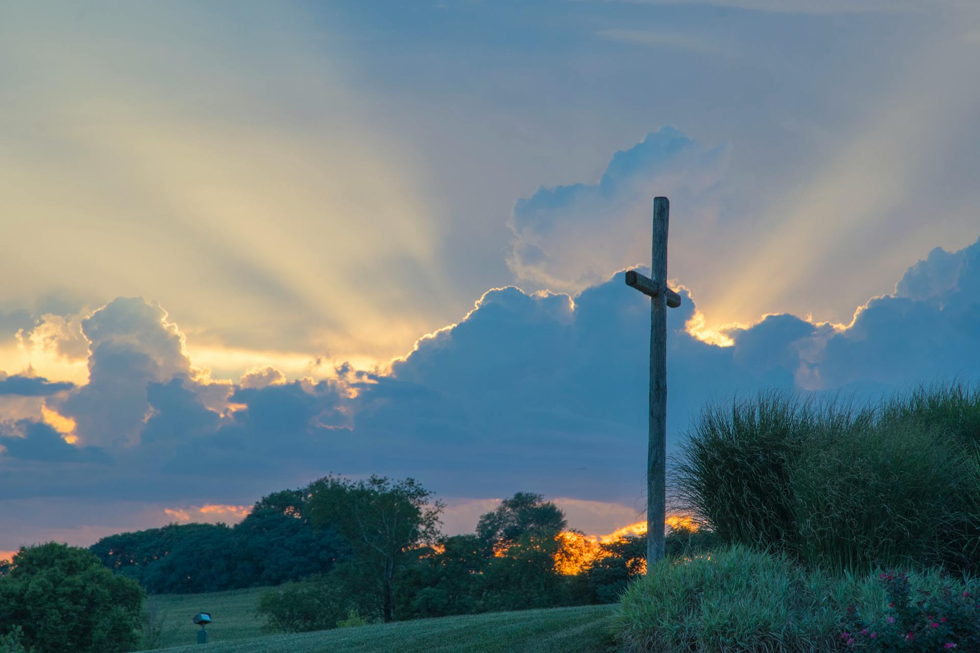 Insights on Faith: Ashley Wille’s Journey Through the Cross