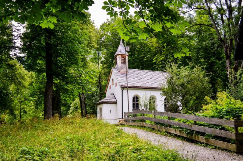A cozy little church surrounded by greenery.